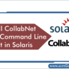 collabnet-svn-command-line