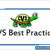 cvs-best-practices