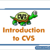 cvs-introduction