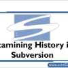 subversion-history-examining