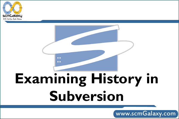 subversion-history-examining