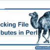 perl-file-attributes