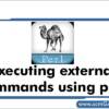 execute-external-commands-from-perl