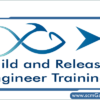 build-and-release-engineer-training
