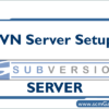 svn-server-setup