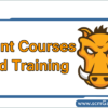 grunt-course-and-training