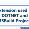 extension-used-in-dotnet-and-msbuild