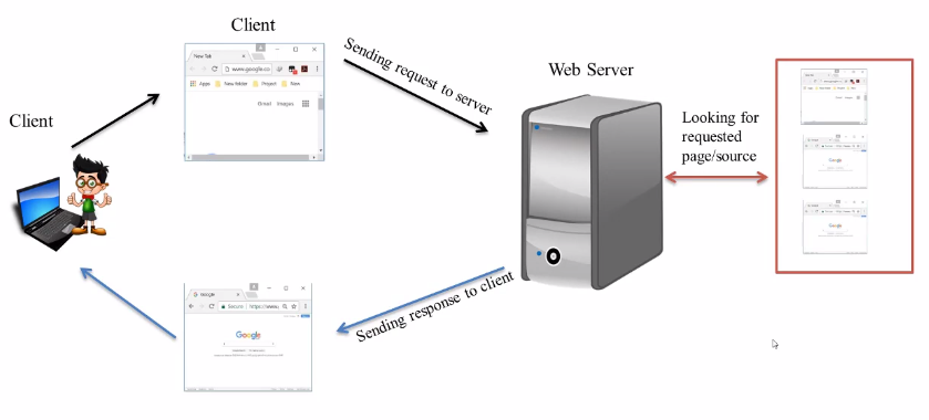 Web internal