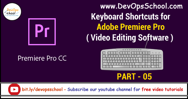 adobe video editor adobe premiere free