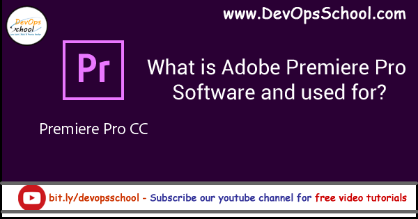 What Is Premiere Used For