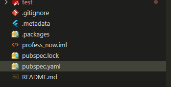 pubspec.yaml