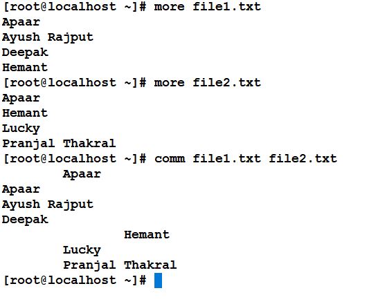 dig Command in Linux with Examples - GeeksforGeeks