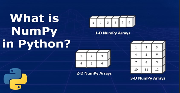 numpy assignment by reference