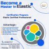 become a master in elastic 
