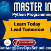 Master in Python Programming - banner 2