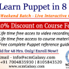 puppet-training-onlineLI