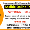 anisble-training-april