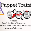 puppet-training-online-link