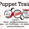 puppet-training-online (2)