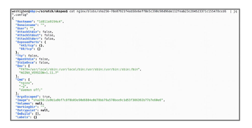 Image vs container layers