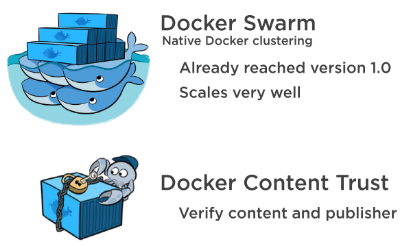 docker swarm anddocker content trust