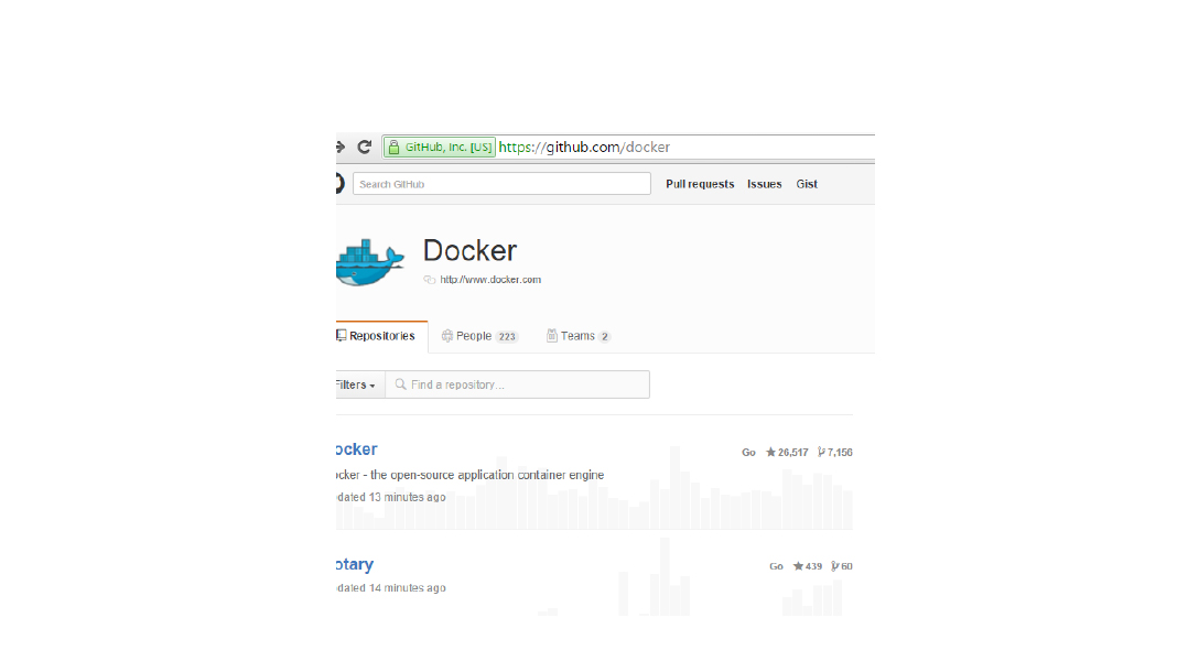 the docker project