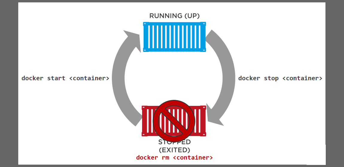 runnig up docker container