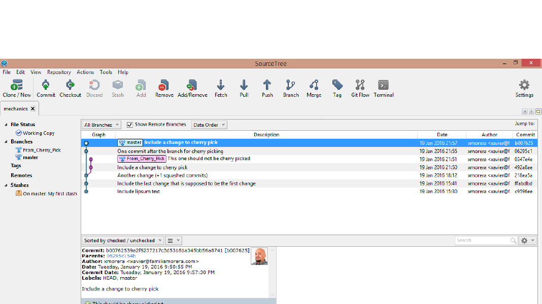 git discarding changes source tree