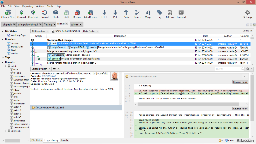 git source tree solrnet uncommitted chages