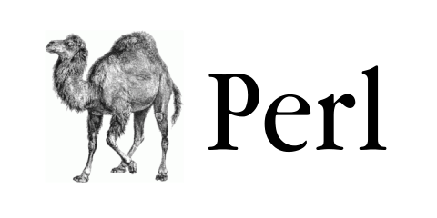 Perl training